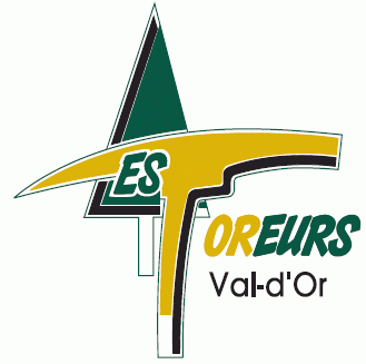 val-d or foreurs 2011-pres primary logo iron on transfers for clothing